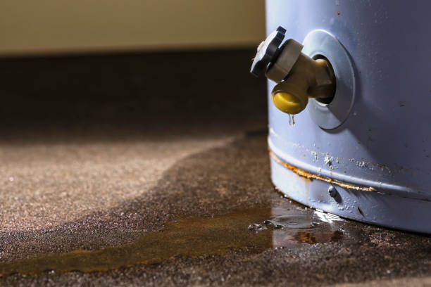 Best Fire Damage Restoration  in Whittingham, NJ