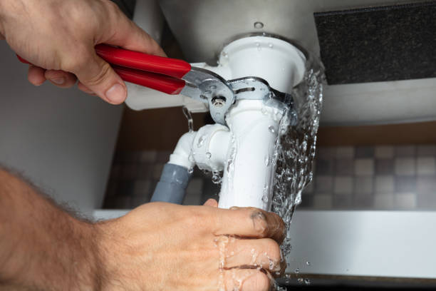 Best Water damage restoration near me  in Whittingham, NJ