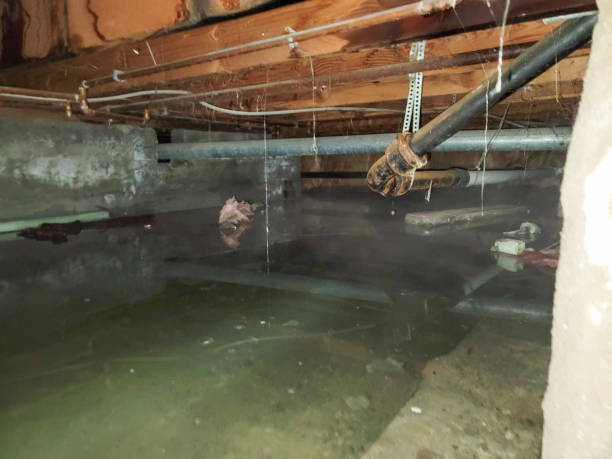 Best Commercial water damage restoration  in Whittingham, NJ