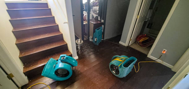 Best 24-hour water damage restoration  in Whittingham, NJ