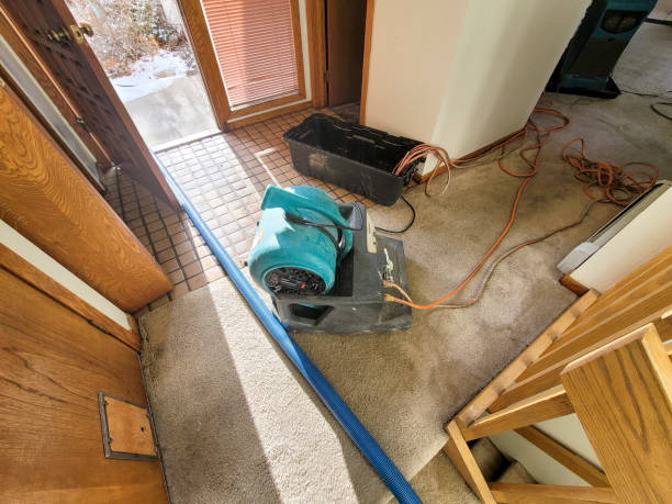 Best Carpet water damage restoration  in Whittingham, NJ