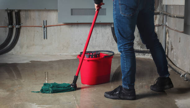 Best Sewage cleanup and water damage restoration  in Whittingham, NJ