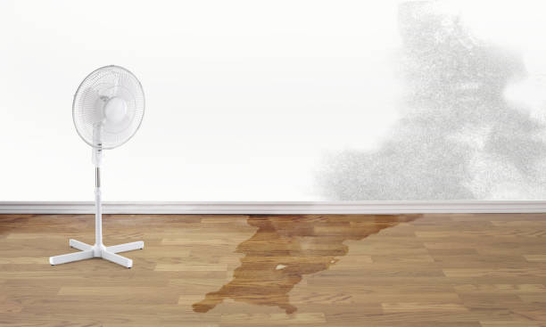Best Emergency water damage restoration  in Whittingham, NJ