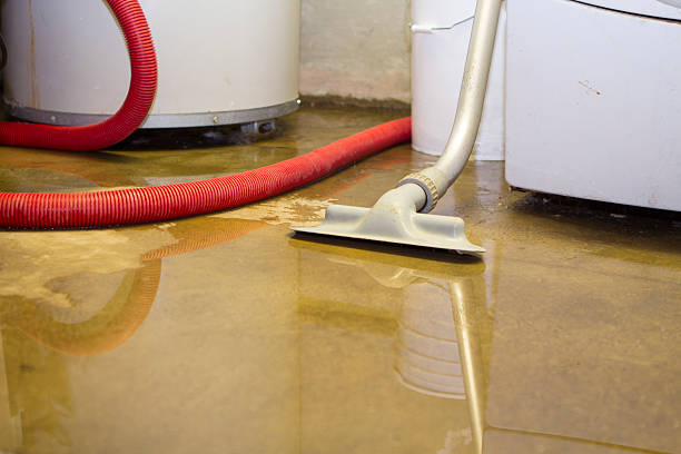 Best Fire Damage Restoration  in Whittingham, NJ