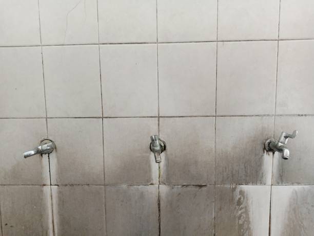 Best Water damage contractors near me  in Whittingham, NJ