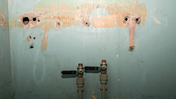 Best Water damage cleanup near me  in Whittingham, NJ