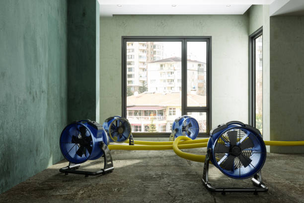 Best Flood restoration services  in Whittingham, NJ
