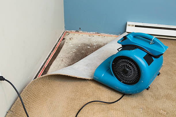 Best Flooded house restoration  in Whittingham, NJ